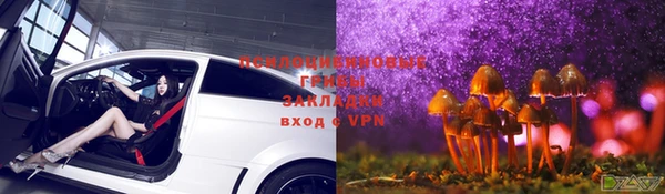 дмт Заволжск