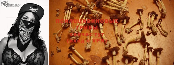 дмт Заволжск