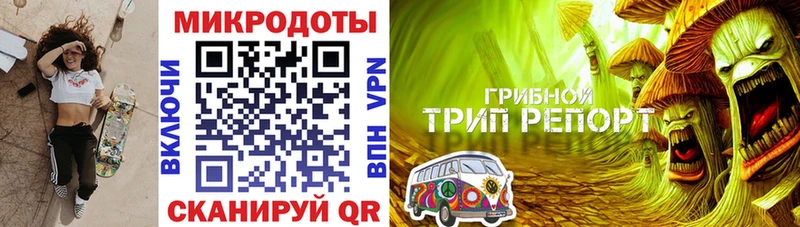 Псилоцибиновые грибы мицелий  Кадников 